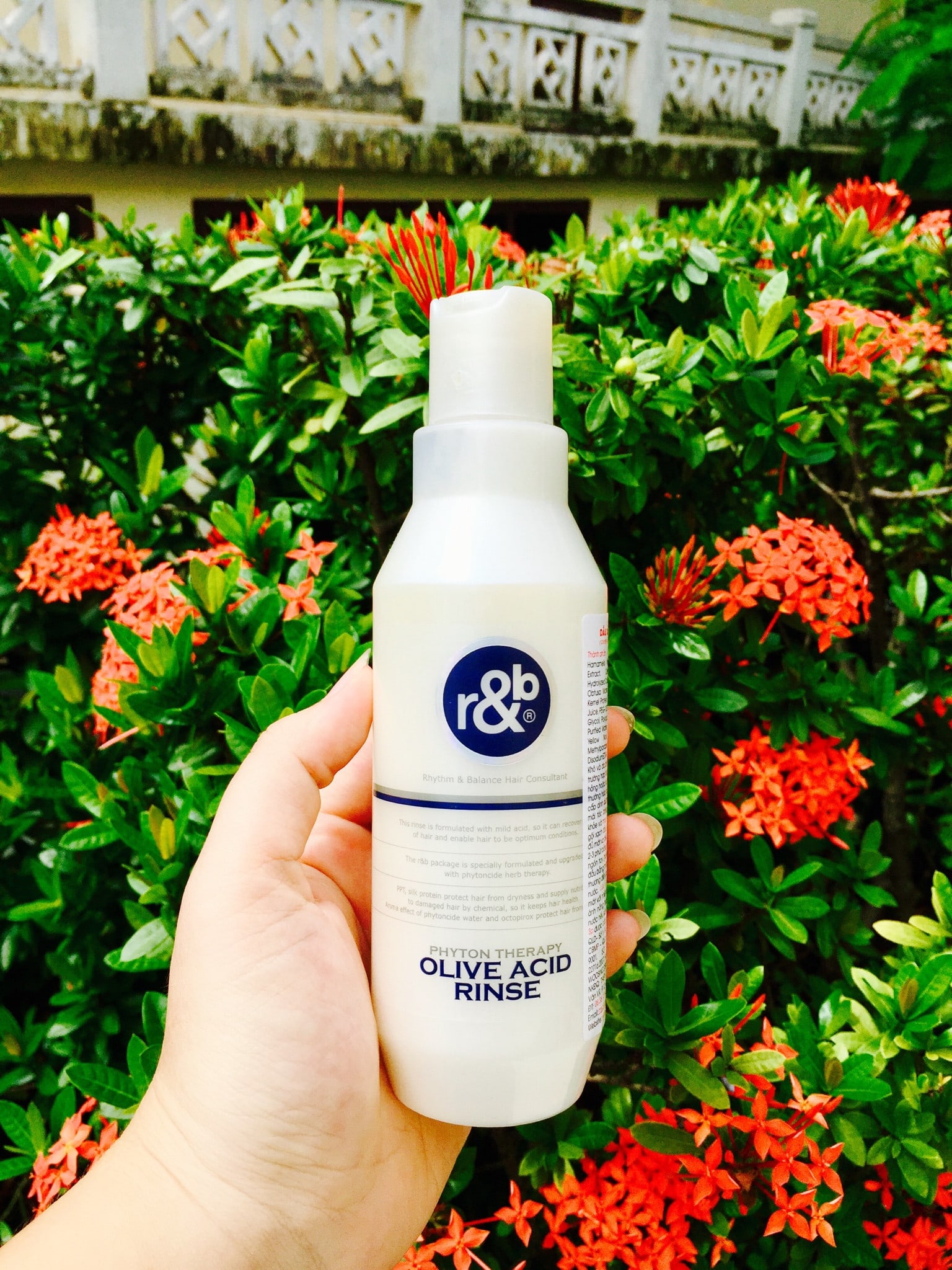 Dầu xả thảo dược R&B Olive Acid 250ml