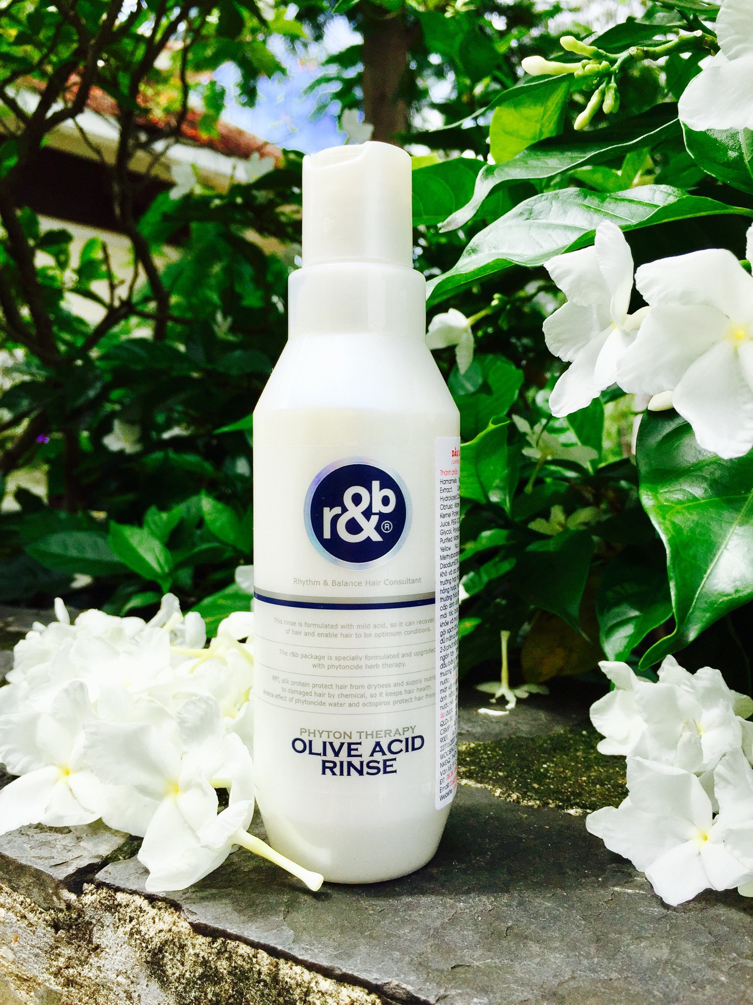 Dầu xả thảo dược R&B Olive Acid 250ml