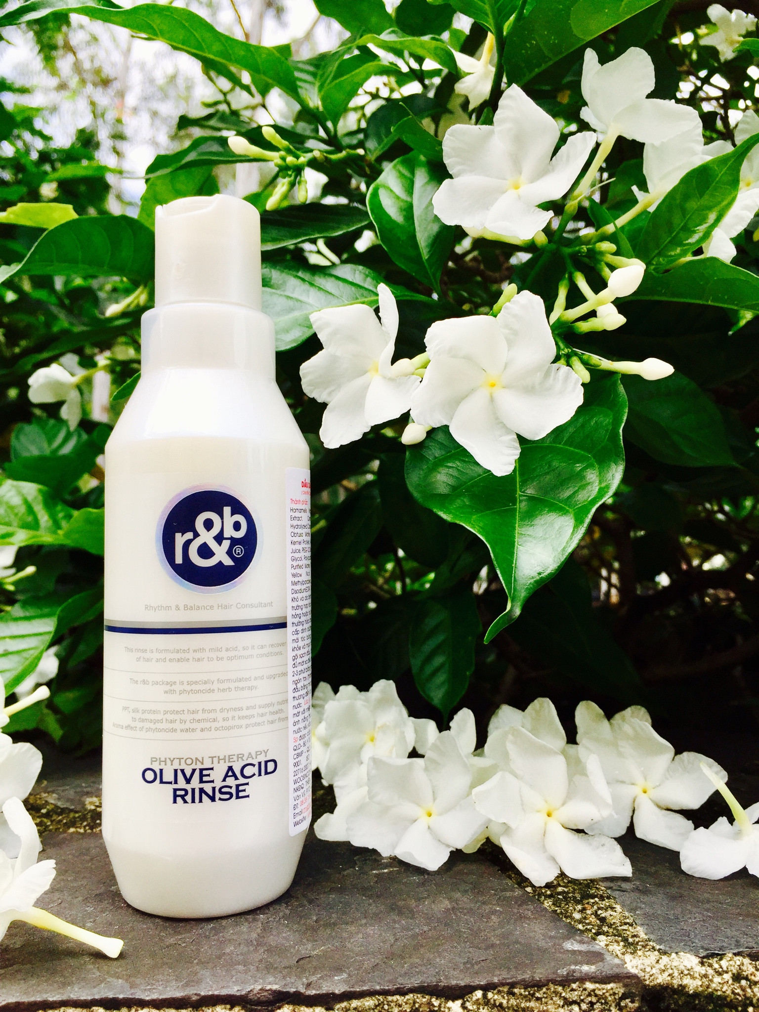 Dầu xả thảo dược R&B Olive Acid 250ml