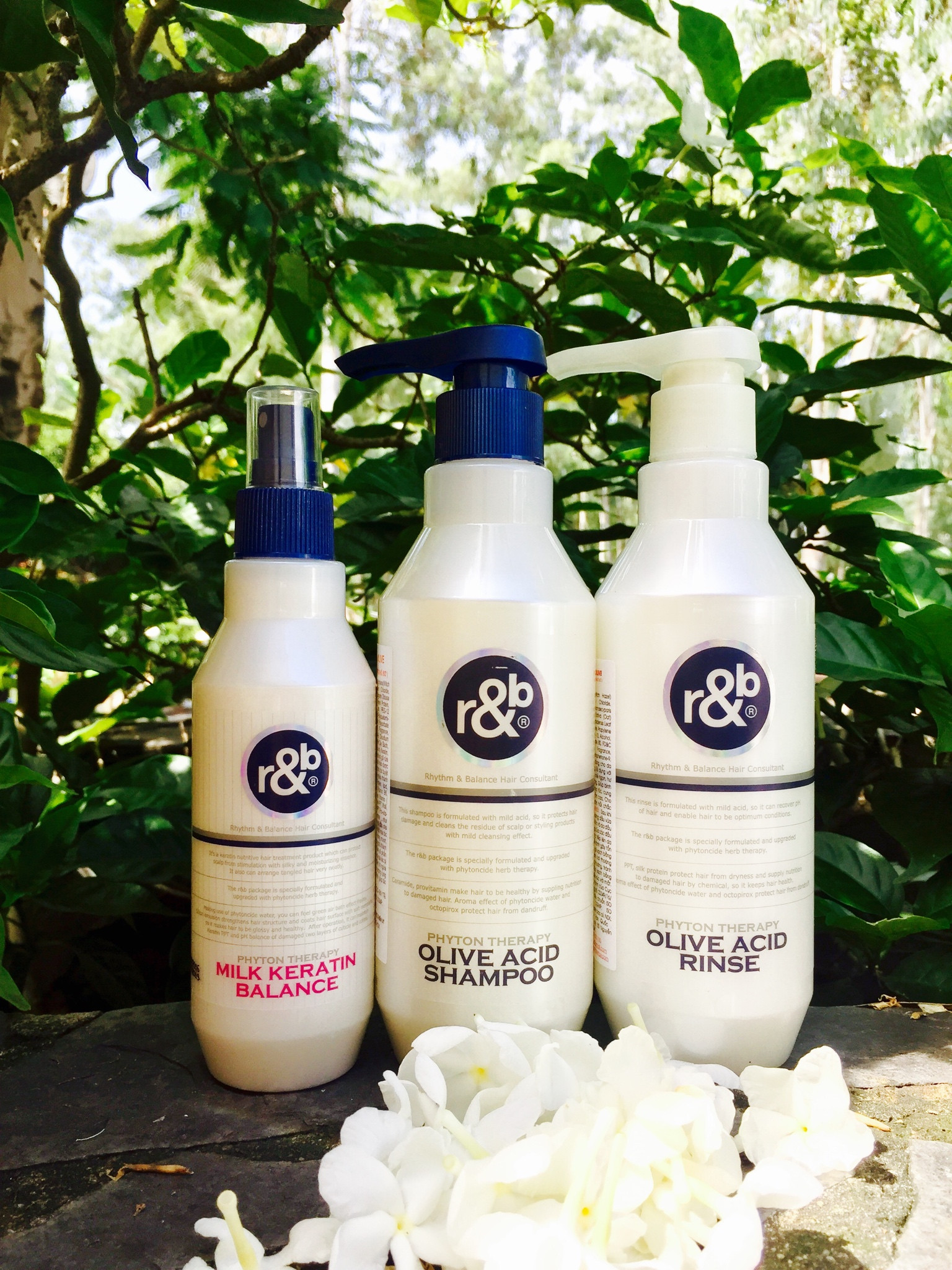 Gội xả nước dưỡng tóc R&B Olive Acid 450ml