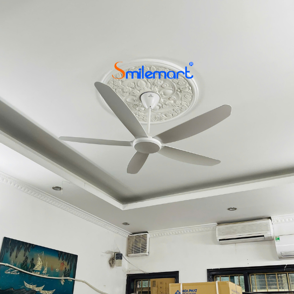 Quạt trần Hòa Phát HQC14201DR màu trắng, động cơ đồng, điều khiển từ xa, bảo hành 14 tháng