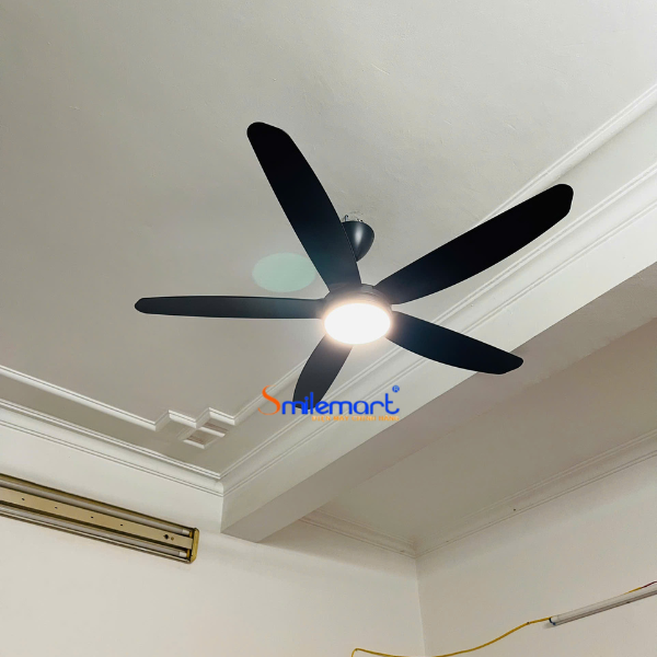 Quạt trần Hòa Phát HQC14204DR màu đen có đèn, Động cơ đồng, điều khiển từ xa, bảo hành 14 tháng