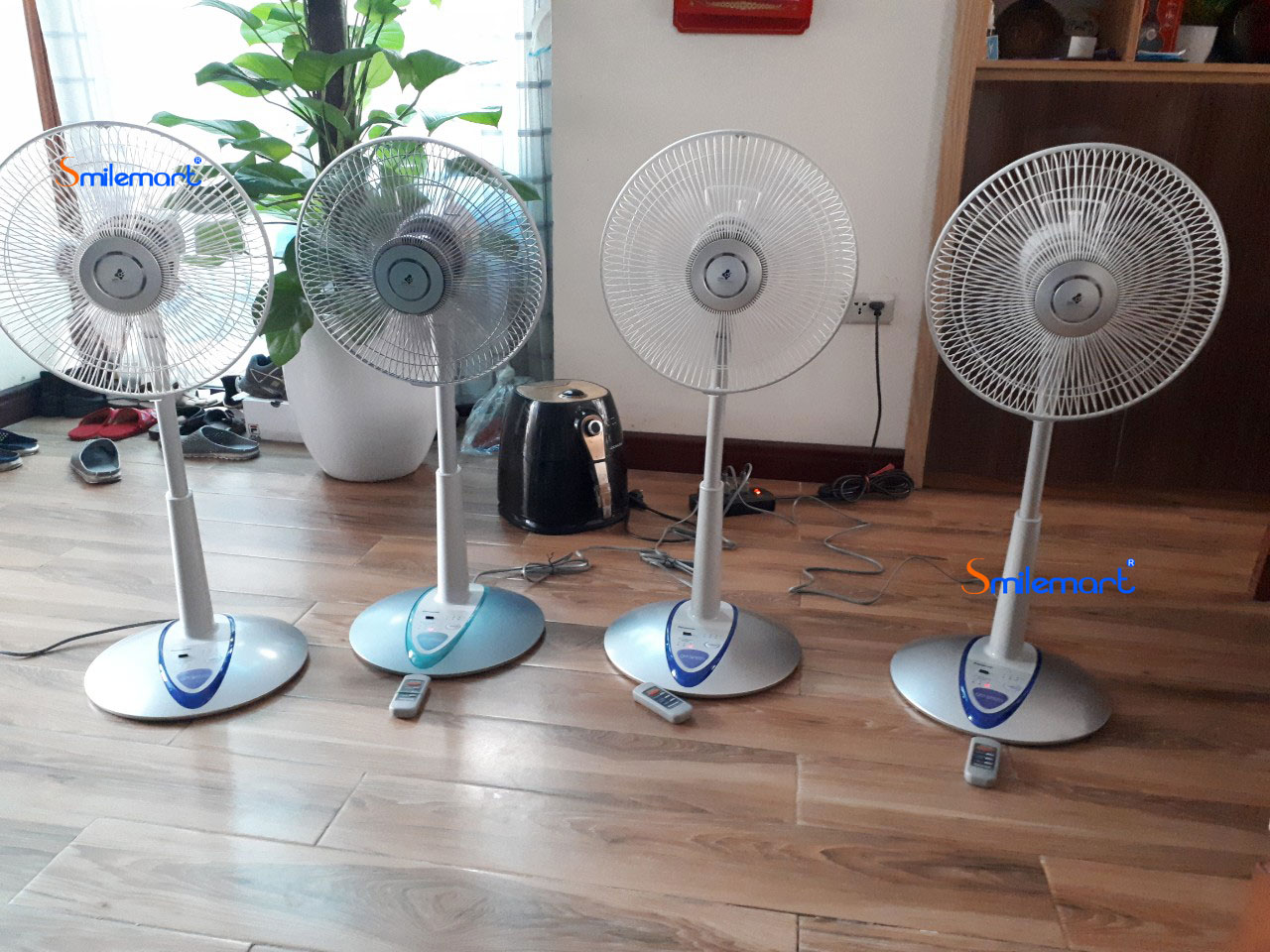 Quạt cây Panasonic F-307KH