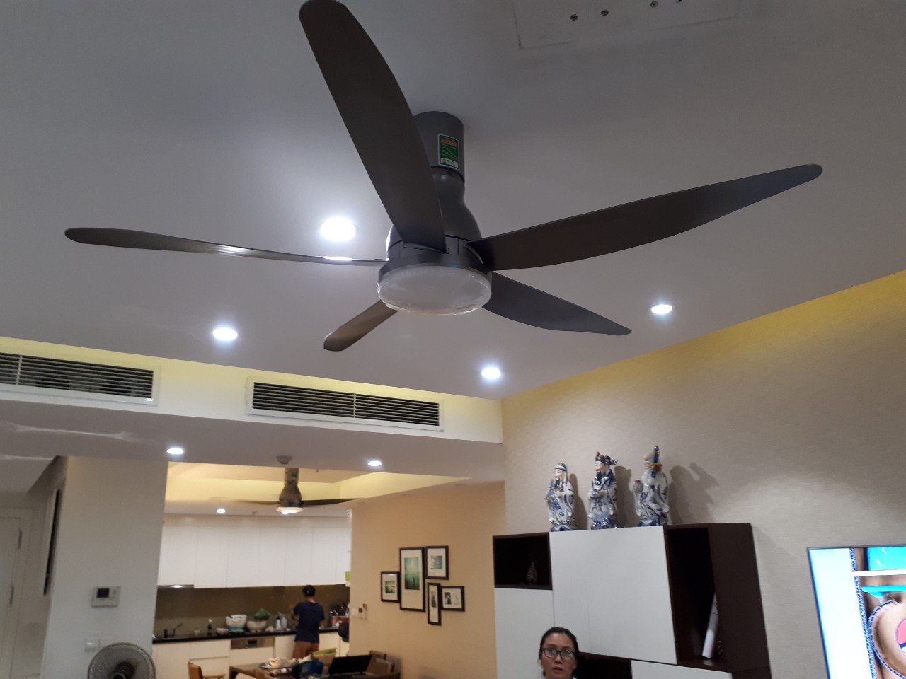 Quạt trần 5 cánh KDK U60FW