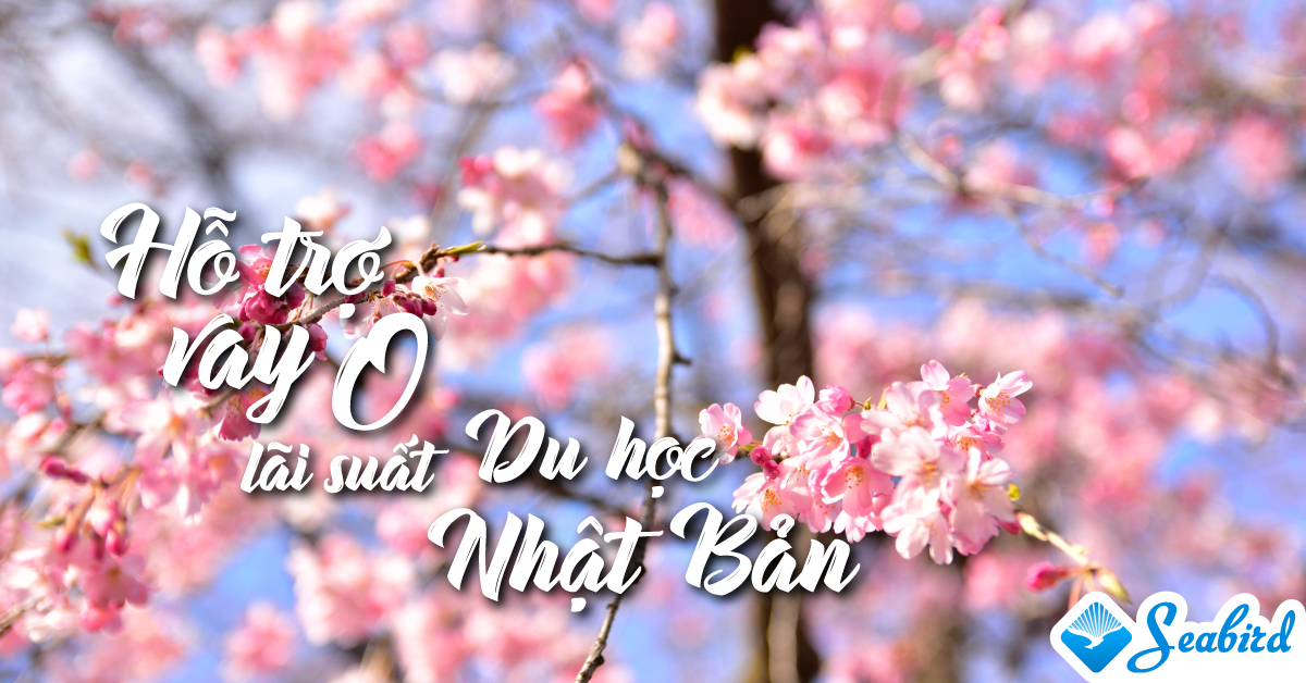 vay du học nhật bản không lãi suất
