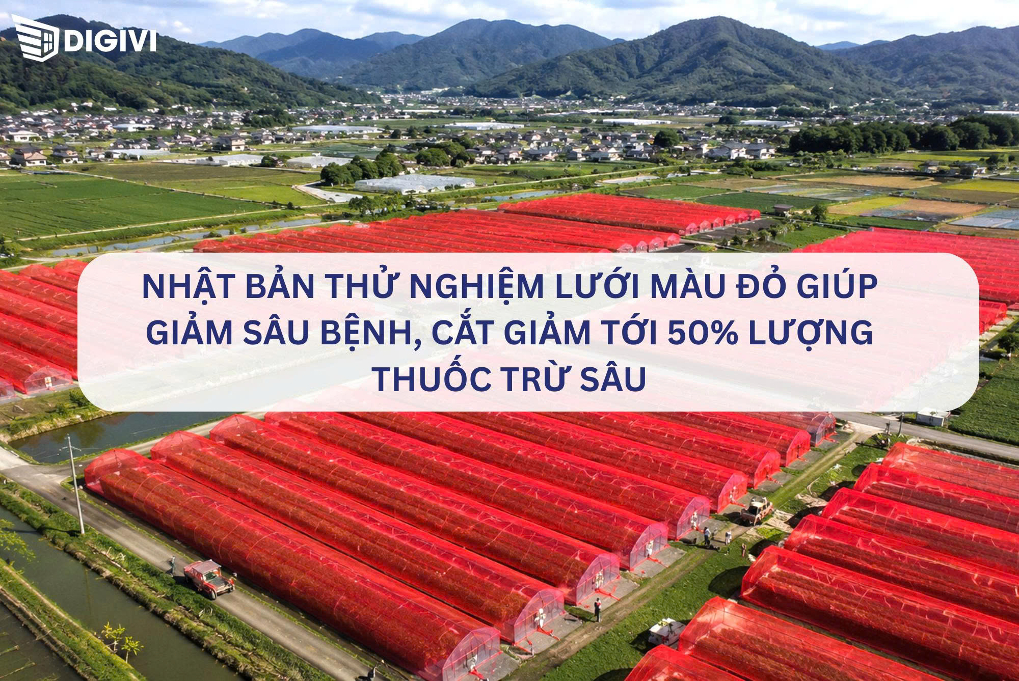 Nhật Bản thử nghiệm lưới màu đỏ giúp giảm sâu bệnh, cắt giảm tới 50% lượng thuốc trừ sâu