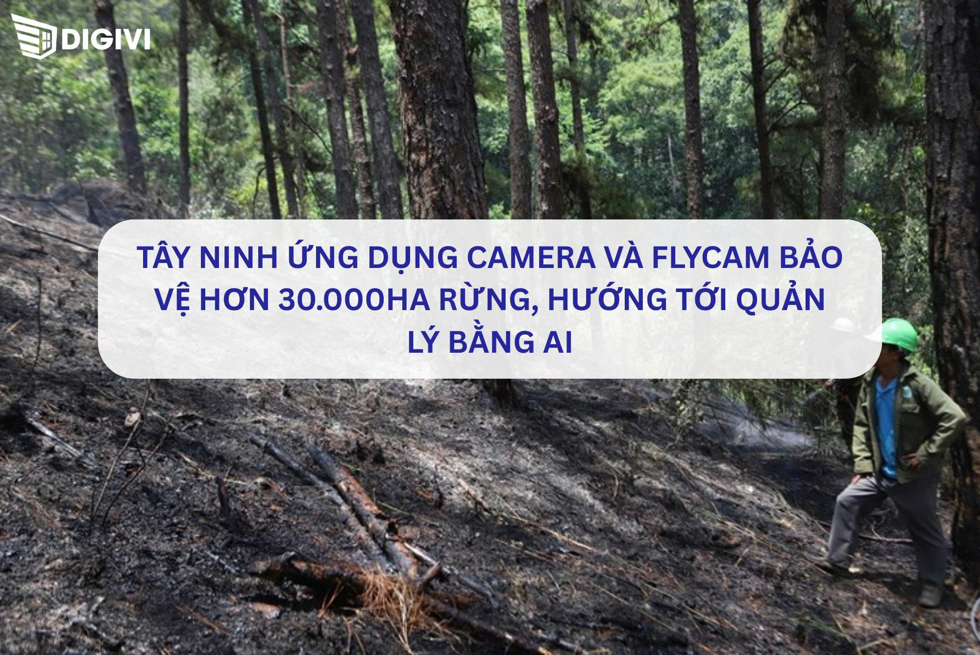 Tây Ninh ứng dụng camera và flycam bảo vệ hơn 30.000ha rừng, hướng tới quản lý bằng AI