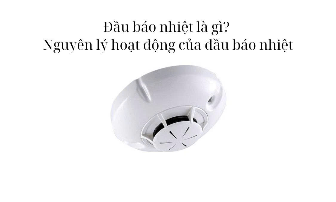 Đầu báo nhiệt là gì? Nguyên lý hoạt động của đầu báo nhiệt