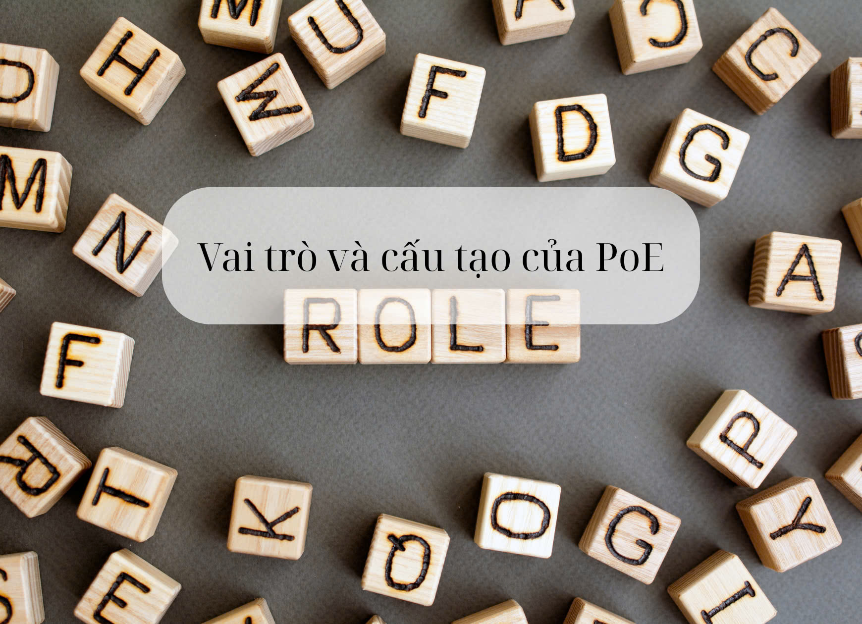 vai trò và cấu tạo của PoE