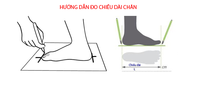 Tính size giày Converse