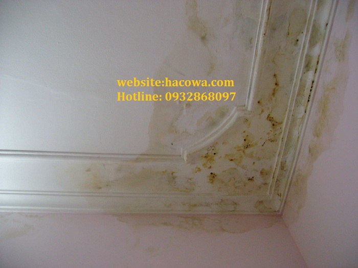 Nguyên nhân gây thấm tường ngoài trời