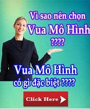 Tại sao nên chọn Vua Mô Hình