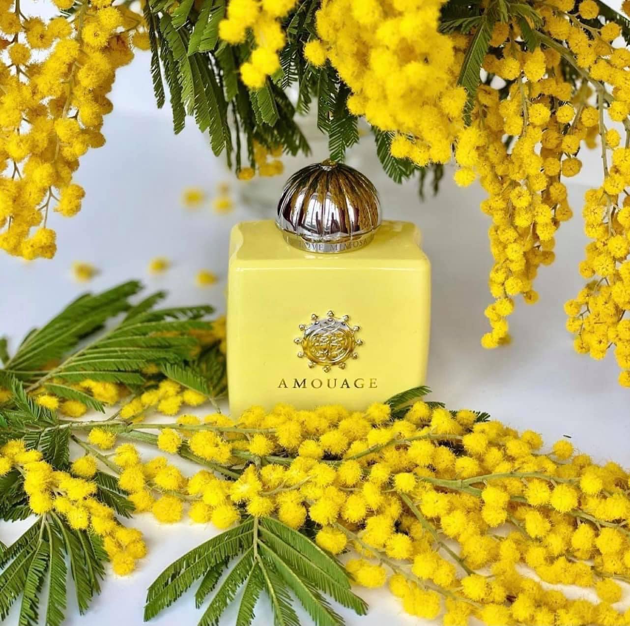 Nước Hoa Nữ Amouage Love Mimosa EDP