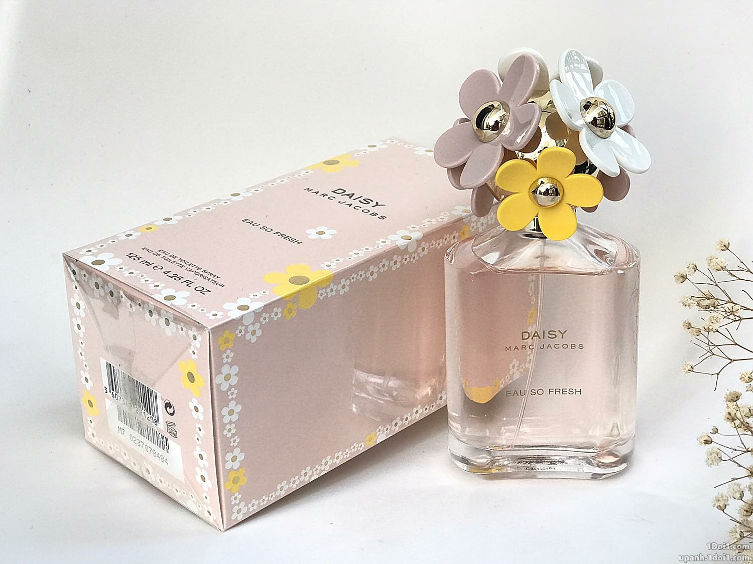 Nước Hoa Nữ Marc Jacobs Daisy Eau So Fresh 125ml Mỹ phẩm Nước hoa Nghi Hồng