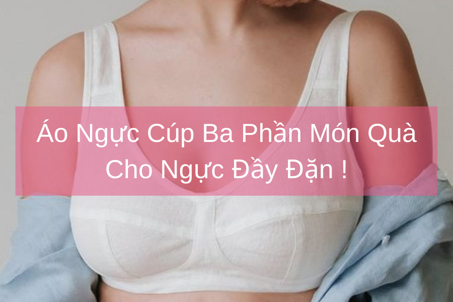 Đây Là Lý Do Tại Sao Áo Ngực Cúp Ba Phần Lại Tuyệt Vời Cho Vòng Một Đầy Đặn