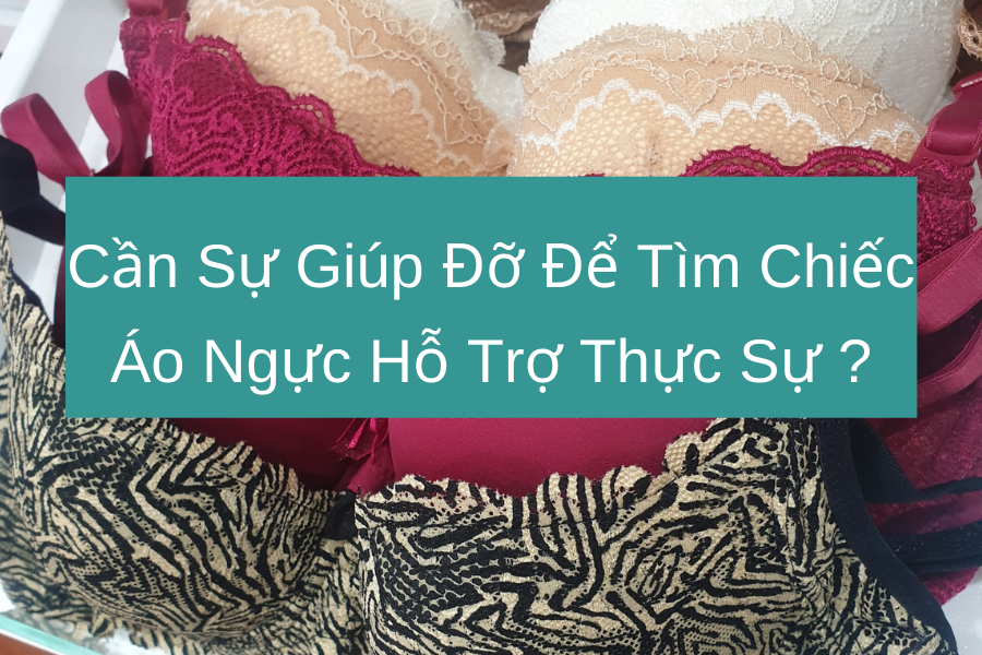 Cần sự giúp đỡ để tìm chiếc áo ngực hỗ trợ thực sự ?