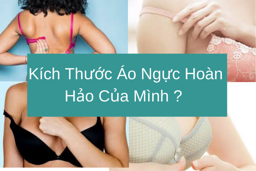Làm Thế Nào Bạn Có Thể Tìm Thấy Kích Thước Áo Ngực Hoàn Hảo Của Mình ?
