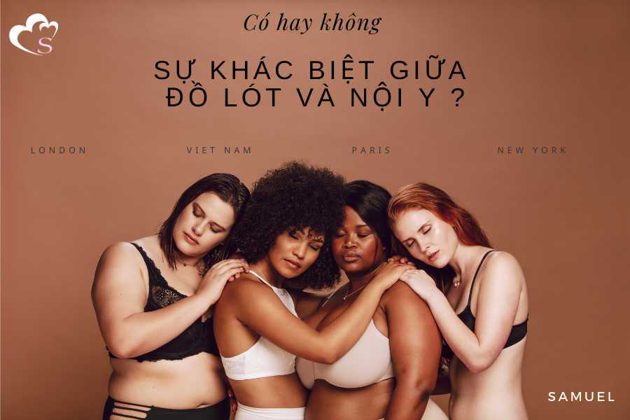 Sự Khác Biệt Giữa Đồ Lót Và Nội Y