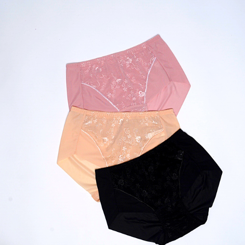 【 TUBE 】Samuel Quần lót nữ Đài Loan thun lạnh thêu Ren siêu co dãn, siêu bền ( màu nâu )