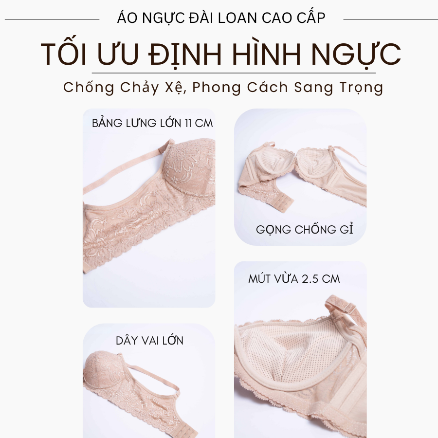 Áo Ngực Đài Loan 5792-2 Mút Vừa Bảng Lưng Lớn Định Hình Vòng 1, Chống Chảy Xệ, Phong Cách Sang Trọng