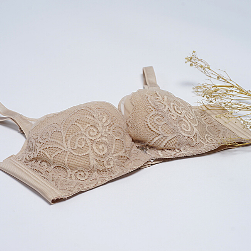 Áo ngực Mút vải Mềm Đài Loan Samuel BIGBAO 2018