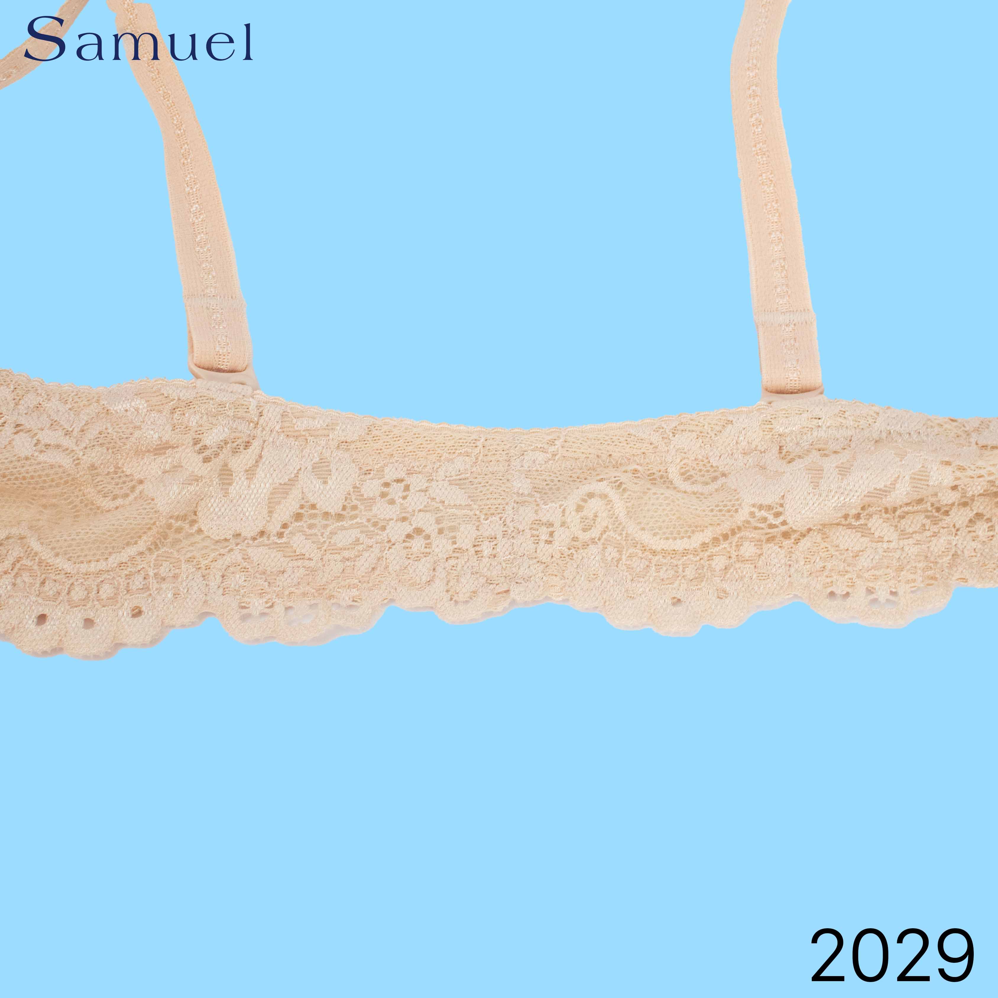 【Lily】Samuel Áo ngực Đài Loan Ren Tạo Khe, Nâng Ngực