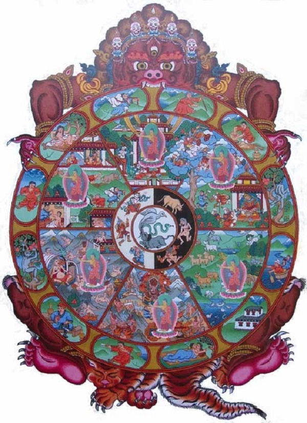 Sự sinh ra làm người quý báu này
