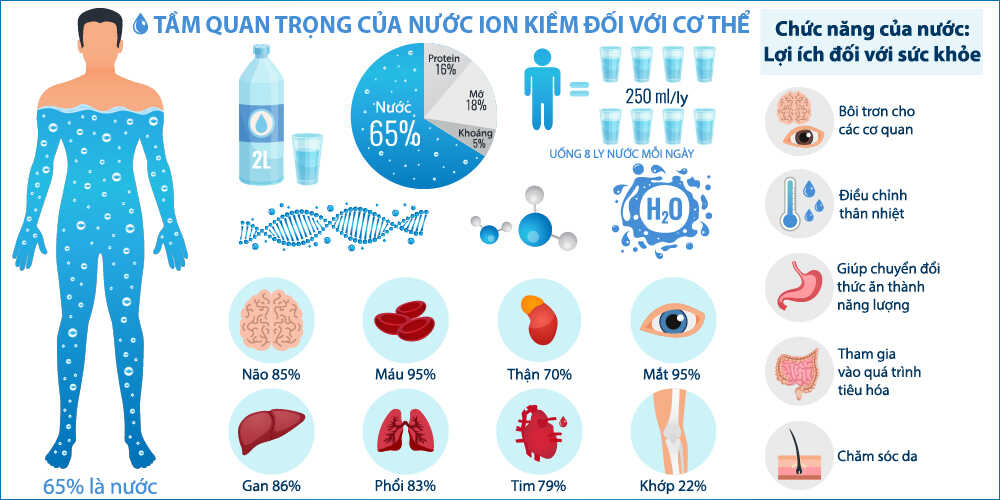 Tầm quan trọng của nước đối với cơ thể - Điện máy Kim Long Phát