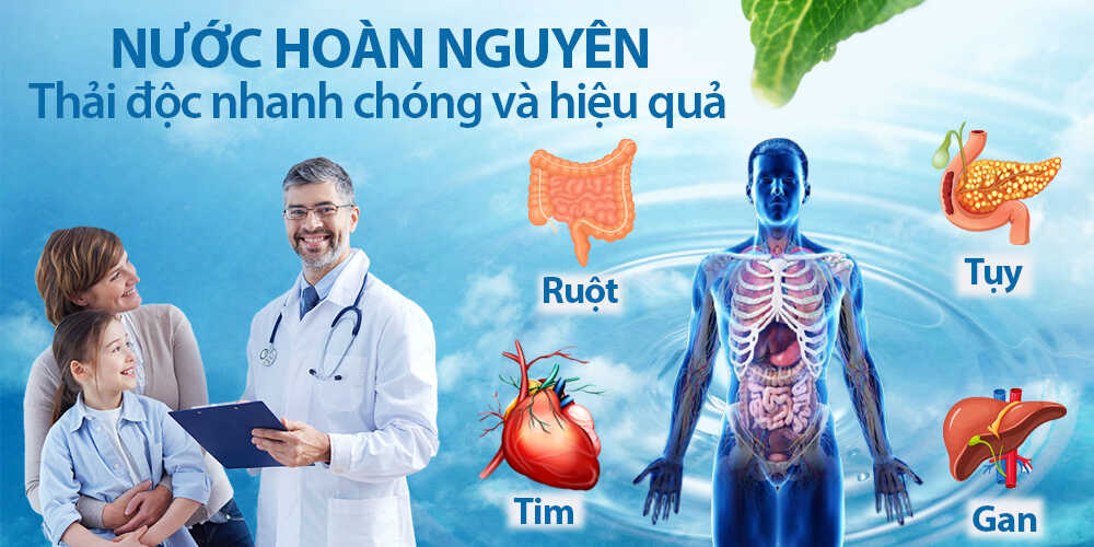 Thải độc nhanh chóng và hiệu quả - Điện máy Kim Long Phát