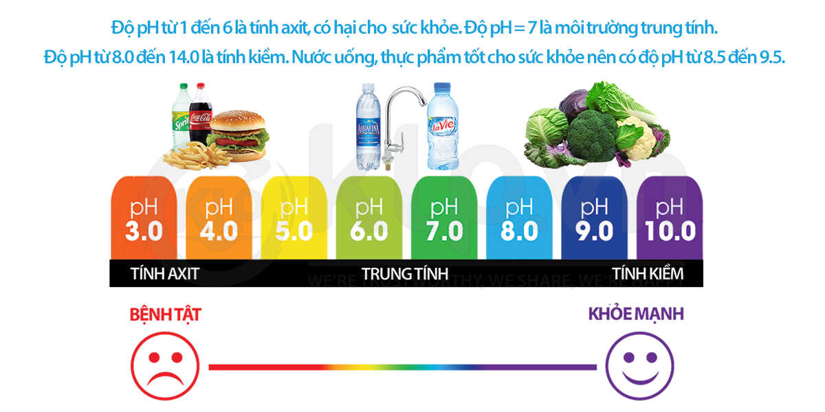 nồng độ pH có trong thức ăn nước uống rượu bia dien may klp