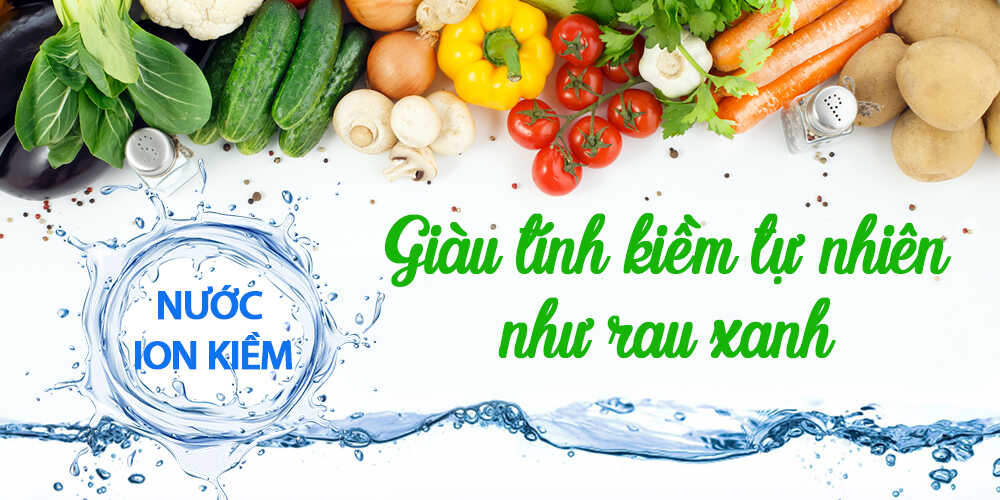 may-dien-giai-ion-kiem-kangen-leveluk-klp.jpg