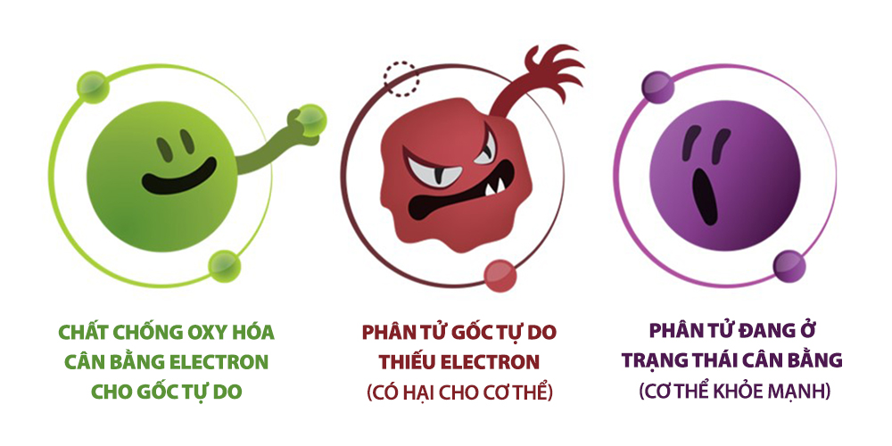 Nước Hyper C – Chất Chống Oxy Hóa Chọn Lọc Hiệu Quả