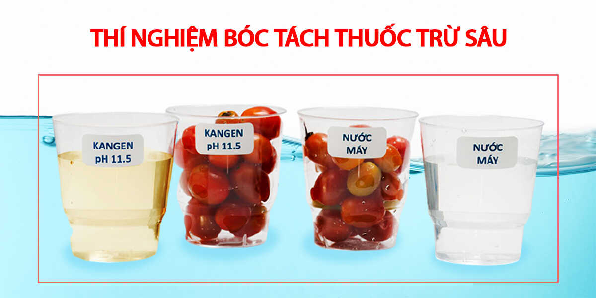 nước ion kiềm có chức năng loại bỏ chất hóa học bám trên thực phẩm điện máy klp