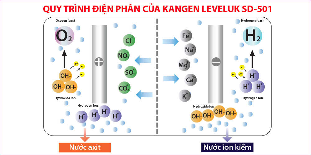 Quá trình điện phân máy  Kangen Leveluk SD501 Điện máy KLP