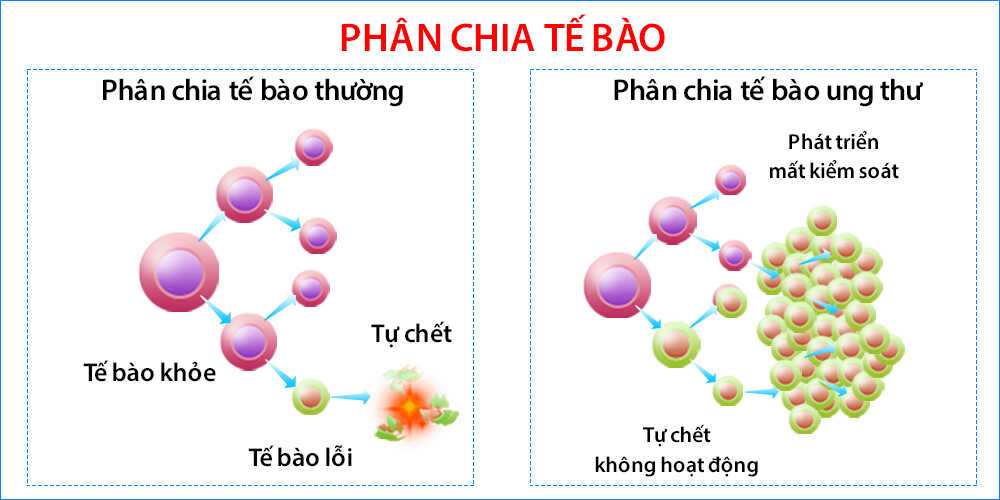 Sự hình thành bệnh ung thư - dienmayklp