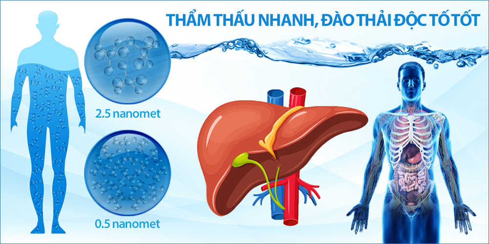 Thẩm thấu nhanh - giải độc tốt - Điện máy Kim Long Phát