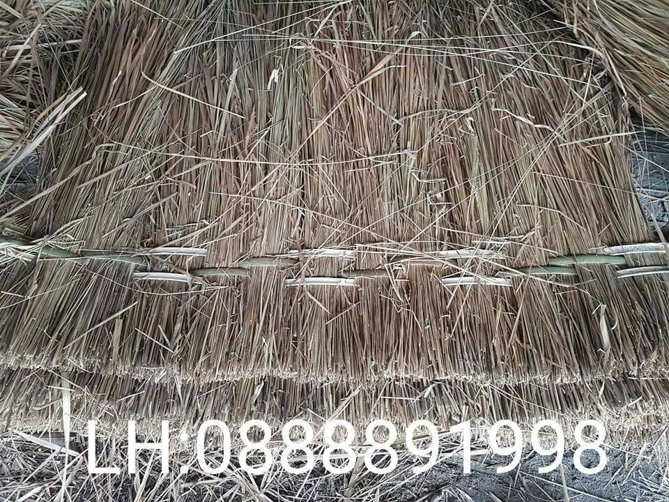 MUA LÁ CỌ, CỎ TRANH Ở ĐÂU
