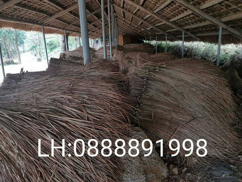 bán lá cọ cỏ tranh lợp nhà