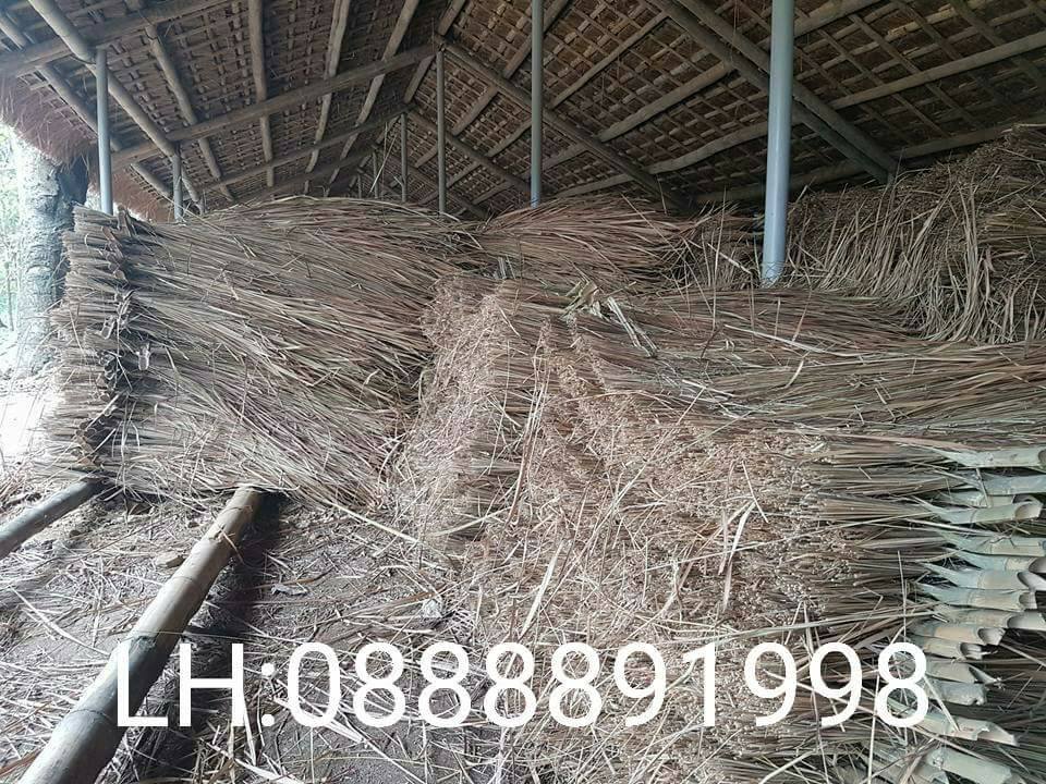 BAN LA CO , CO TRANH , LOP NHA
