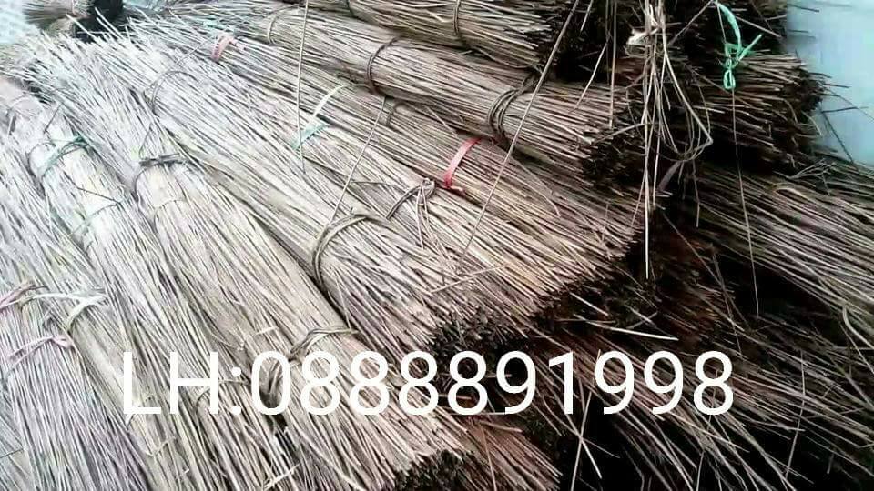 CUNG CẤP CỎ TRANH , LÁ CỌ , SỐ LƯỢNG LỚN