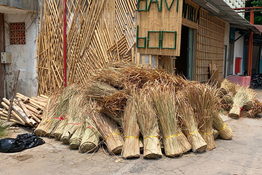 Chuyên cung cấp cỏ tranh giá sỷ ở hà nội