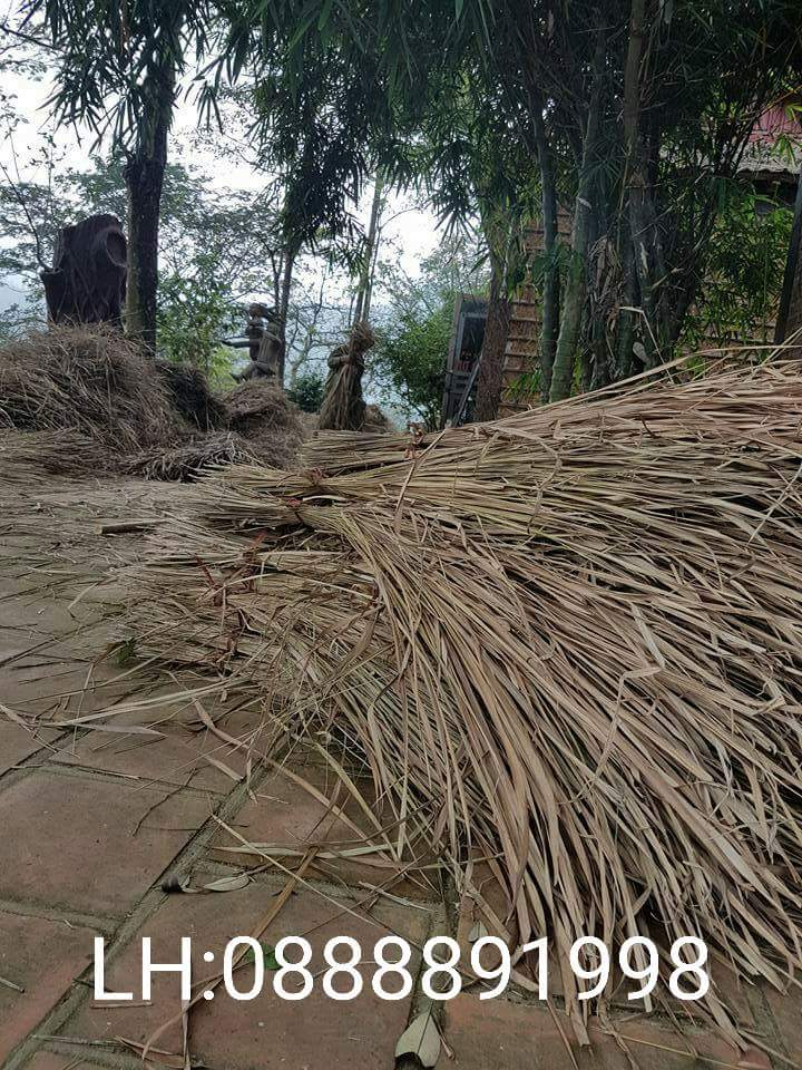 phương pháp chống nóng hiệu quả