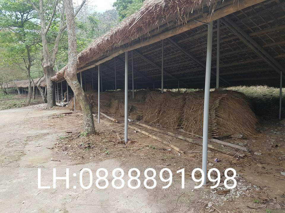 chống nóng mái tôn bằng cách nào