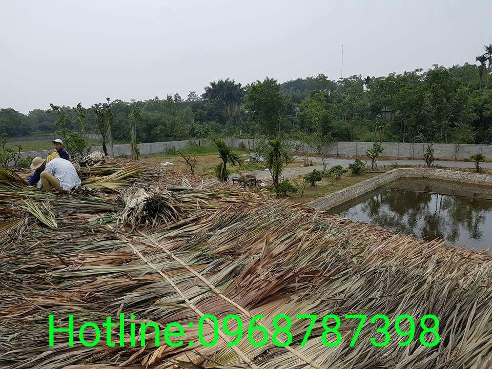 thi công chống nóng