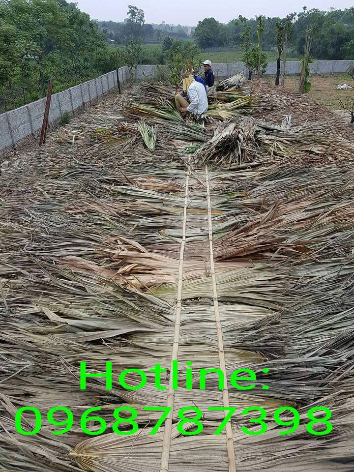 Chống nóng trên mái tôn, rẻ mà vô cùng hiệu quả