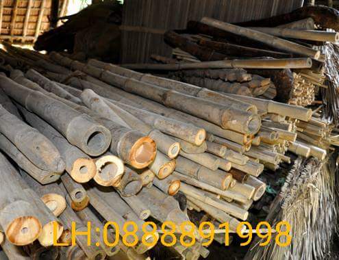 luồng ngâm tre ngâm tre hun khói chống mối mọt