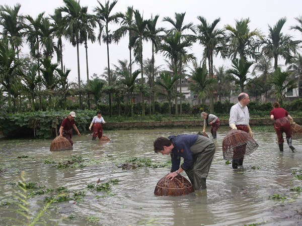 Làng Quê Yên Đức – Đền Chu Văn An – Công viên nước Hà Lan