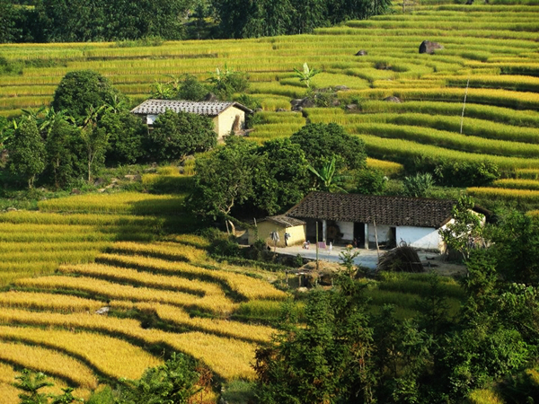 Hạ Long - Bình Liêu