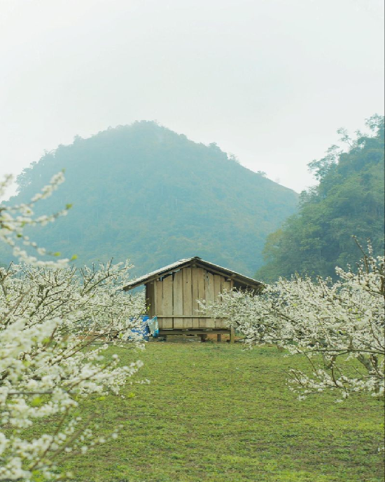 HẠ LONG – MAI CHÂU – MỘC CHÂU - HÒA BÌNH – HÀ NỘI