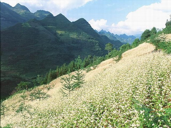 Tour ngép đi tuần trăng mật Sapa